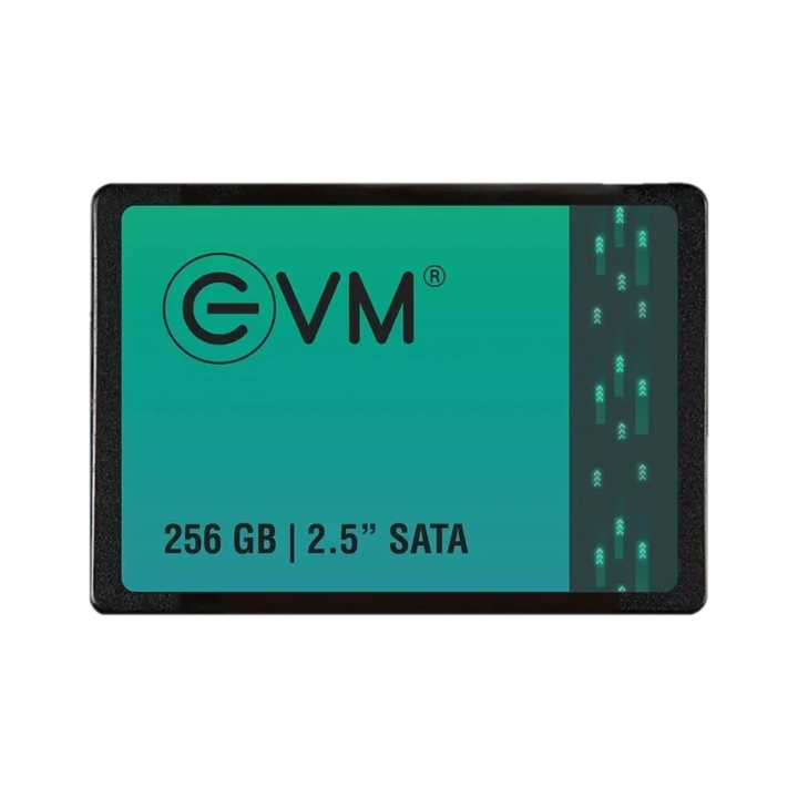EVM 256GB 2.5" SATA Internal Solid State Drive (EVM25/256GB)