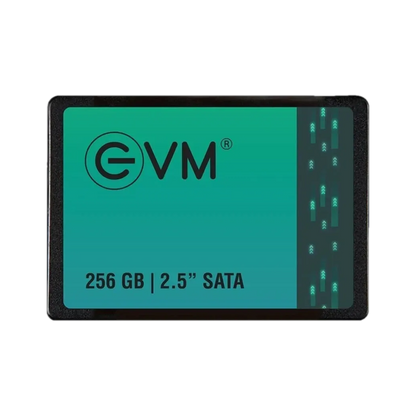 EVM 256GB 2.5" SATA Internal Solid State Drive (EVM25/256GB)