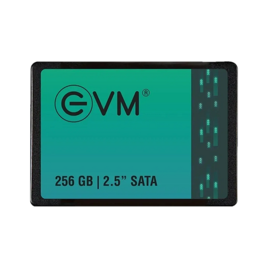 EVM 256GB 2.5" SATA Internal Solid State Drive (EVM25/256GB)