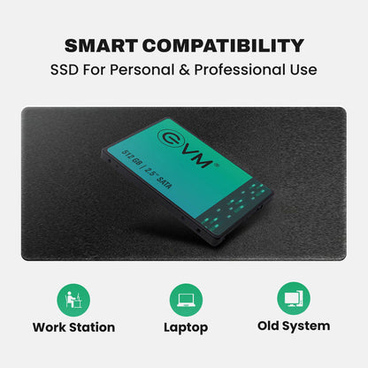 EVM 512GB 2.5" SATA Internal Solid State Drive (EVM25/512GB)