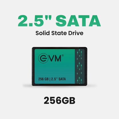 EVM 256GB 2.5" SATA Internal Solid State Drive (EVM25/256GB)