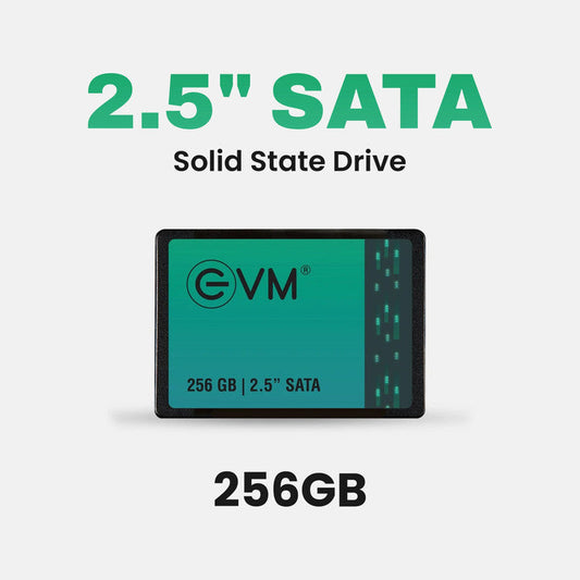 EVM 256GB 2.5" SATA Internal Solid State Drive (EVM25/256GB)