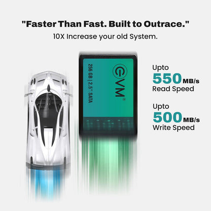 EVM 256GB 2.5" SATA Internal Solid State Drive (EVM25/256GB)